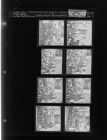 Lady Grows Poinsettias (8 Negatives) (December 20, 1963) [Sleeve 76, Folder b, Box 31]